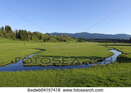 Naturschutzgebiet Moore um die Wies, mit Schwarzenbach, bei Wildsteig, Oberbayern, Bayern, Deutschland, Europa View Large Photo Image Stock Photo - Naturschutzgebiet Moore um die Wies, mit Schwarzenbach, bei Wildsteig, Oberbayern, Bayern, Deutschland, Europa. Fotosearch