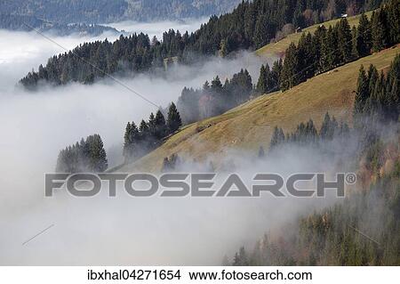 Nebel, Nebelschwaden liegen uber dem Ostrachtal, bei Bad Hindelang, Allgau, Bayern, Deutschland, Europa View Large Photo Image Picture - Nebel, Nebelschwaden liegen uber dem Ostrachtal, bei Bad Hindelang, Allgau, Bayern, Deutschland, Europa. Fotosearch