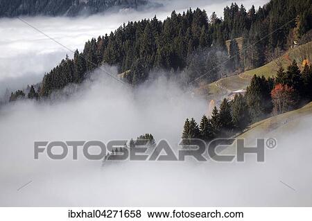 Stock Photo - Nebel, Nebelschwaden liegen uber dem Ostrachtal, bei Bad Hindelang, Allgau, Bayern, Deutschland, Europa. Fotosearch