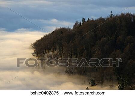 Stock Image - Nebelstimmung, Hohneck, Vogesen, Frankreich, Europa. Fotosearch