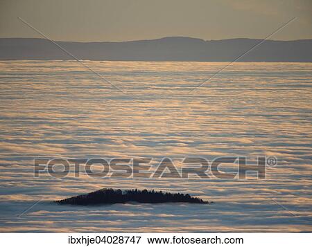 Stock Photo - Nebelstimmung, Hohneck, Vogesen, Frankreich, Europa. Fotosearch