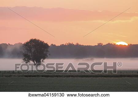 Neblige Morgenstimmung, Niedersachsen, Deutschland, Europa View Large Photo Image Stock Image - Neblige Morgenstimmung, Niedersachsen, Deutschland, Europa. Fotosearch