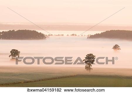 Neblige Morgenstimmung, Niedersachsen, Deutschland, Europa View Large Photo Image Stock Image - Neblige Morgenstimmung, Niedersachsen, Deutschland, Europa. Fotosearch
