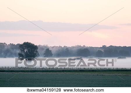 Neblige Morgenstimmung, Niedersachsen, Deutschland, Europa View Large Photo Image Stock Photo - Neblige Morgenstimmung, Niedersachsen, Deutschland, Europa. Fotosearch