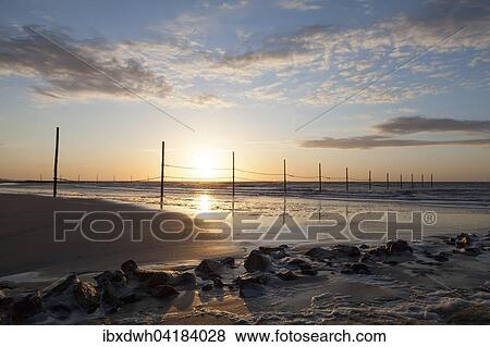 Stock Photo - Nordseekuste im Abendlicht, Wangerooge, Ostfriesische Insel, Ostfriesland, Niedersachsen, Deutschland, Europa. Fotosearch
