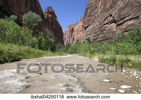 Stock Photo - North Fork Virgin River am Riverside Walk, links und rechts Steilwande des Zion Canyon, Zion Nationalpark, Utah, USA, Nordamerika. Fotosearch