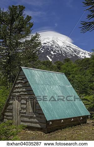Nothutte und Vulkan Lanin, Curarrehue, Region de la Araucania, Chile, Sudamerika View Large Photo Image Stock Photo - Nothutte und Vulkan Lanin, Curarrehue, Region de la Araucania, Chile, Sudamerika. Fotosearch