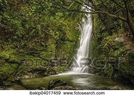 Ohau Wasserfall, Route 1, Kaikoura, Neuseeland, Ozeanien View Large Photo Image Stock Photo - Ohau Wasserfall, Route 1, Kaikoura, Neuseeland, Ozeanien. Fotosearch