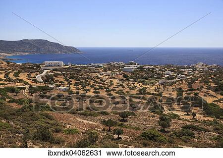 Olivenplantage, Lakki, Karpathos, Dodekanes, Sudliche Aegais, Griechenland, Europa View Large Photo Image Stock Image - Olivenplantage, Lakki, Karpathos, Dodekanes, Sudliche Aegais, Griechenland, Europa. Fotosearch