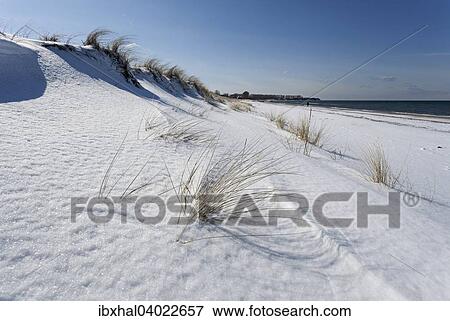 Ostseekuste, Strand, schneebedeckt, Rerik, Mecklenburg, Deutschland, Europa View Large Photo Image Stock Photo - Ostseekuste, Strand, schneebedeckt, Rerik, Mecklenburg, Deutschland, Europa. Fotosearch
