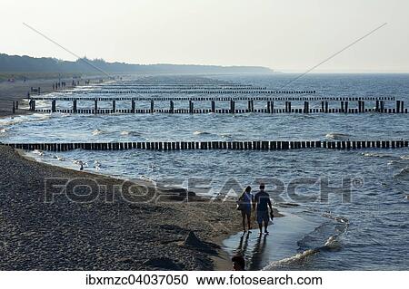 Ostseestrand mit Buhnen bei diesigem Wetter, Ahrenshoop, Darss, Mecklenburg-Vorpommern, Deutschland, Europa View Large Photo Image Stock Image - Ostseestrand mit Buhnen bei diesigem Wetter, Ahrenshoop, Darss, Mecklenburg-Vorpommern, Deutschland, Europa. Fotosearch
