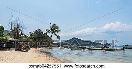 Palme am Sandstrand, Longtailboote im Wasser, Sairee Beach, turkises Meer, Insel Koh Tao, Golf von Thailand, Thailand, Asien View Large Photo Image Stock Image - Palme am Sandstrand, Longtailboote im Wasser, Sairee Beach, turkises Meer, Insel Koh Tao, Golf von Thailand, Thailand, Asien. Fotosearch