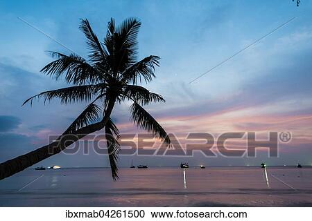 Palme Bei Sonnenuntergang Am Meer Sudchinesisches Meer Golf Von Thailand Insel Koh Tao Thailand Asien Stock Image Ibxmab Fotosearch