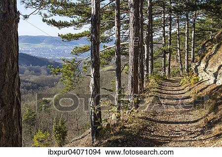 Panoramaweg Saalehorizontale, hinten Jena, Thuringen, Deutschland, Europa View Large Photo Image Picture - Panoramaweg Saalehorizontale, hinten Jena, Thuringen, Deutschland, Europa. Fotosearch