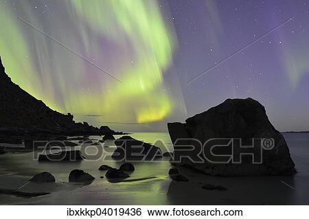 Polarlicht am Utakleiv Beach, Vestvagoy, Lofoten, Norwegen, Europa View Large Photo Image Stock Photograph - Polarlicht am Utakleiv Beach, Vestvagoy, Lofoten, Norwegen, Europa. Fotosearch