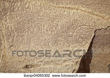 Prahistorische Felsenzeichnung, Kamel, Wuste, Wadi Rum, Jordanien, Asien View Large Photo Image Stock Image - Prahistorische Felsenzeichnung, Kamel, Wuste, Wadi Rum, Jordanien, Asien. Fotosearch