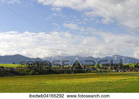 Prem vor Hochplatte, Tegelberg und Sauling, Oberbayern, Bayern, Deutschland, Europa View Large Photo Image Stock Image - Prem vor Hochplatte, Tegelberg und Sauling, Oberbayern, Bayern, Deutschland, Europa. Fotosearch