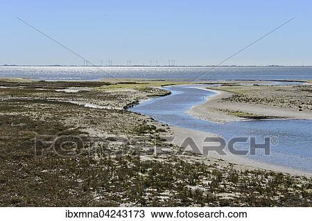 Priel im flachen Schwemmland, Wangerooge, Friesland, Niedersachsen, Deutschland, Europa View Large Photo Image Stock Image - Priel im flachen Schwemmland, Wangerooge, Friesland, Niedersachsen, Deutschland, Europa. Fotosearch