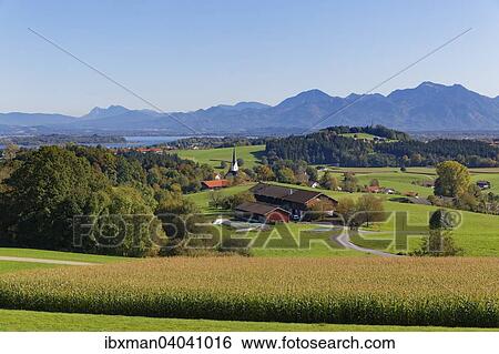 Ratzinger Hohe mit Greimharting, hinten die Chiemgauer Alpen, Chiemgau, Alpenvorland, Oberbayern, Bayern, Deutschland, Europa View Large Photo Image Stock Photograph - Ratzinger Hohe mit Greimharting, hinten die Chiemgauer Alpen, Chiemgau, Alpenvorland, Oberbayern, Bayern, Deutschland, Europa. Fotosearch
