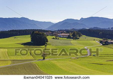 Ratzinger Hohe mit Zacking, hinten die Chiemgauer Alpen, Chiemgau, Alpenvorland, Oberbayern, Bayern, Deutschland, Europa View Large Photo Image Stock Photography - Ratzinger Hohe mit Zacking, hinten die Chiemgauer Alpen, Chiemgau, Alpenvorland, Oberbayern, Bayern, Deutschland, Europa. Fotosearch