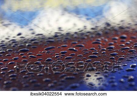 Picture - Regentropfen auf Autodach, Deutschland, Europa. Fotosearch