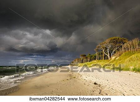 Regenwolken uber Weststrand an der Ostsee, Born am Fischland-Darss-Zingst, Nationalpark Vorpommersche Boddenlandschaft, Mecklenburg-Vorpommern, Deutschland, Europa View Large Photo Image Picture - Regenwolken uber Weststrand an der Ostsee, Born am Fischland-Darss-Zingst, Nationalpark Vorpommersche Boddenlandschaft, Mecklenburg-Vorpommern, Deutschland, Europa. Fotosearch