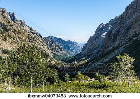 Stock Image - Restonica Fluss fliesst an seiner Quelle durch Gebirgstal, Restonica Hochtal, Corte, Departement Haute-Corse, Korsika, Frankreich, Europa. Fotosearch