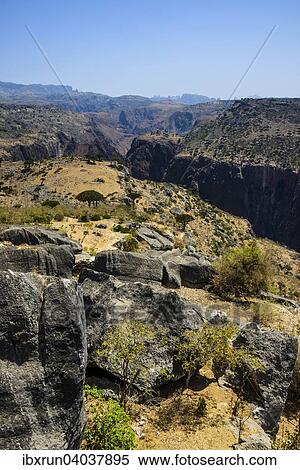 Stock Photography - Riesige Schlucht am Dixsam Plateau, Sokotra, Jemen, Asien. Fotosearch