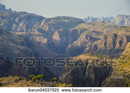 Stock Photography - Riesige Schlucht am Dixsam Plateau, Sokotra, Jemen, Asien. Fotosearch