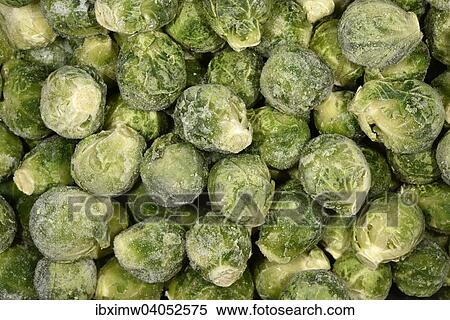 Rosenkohl tiefgekuhlt View Large Photo Image Stock Photography - Rosenkohl tiefgekuhlt. Fotosearch