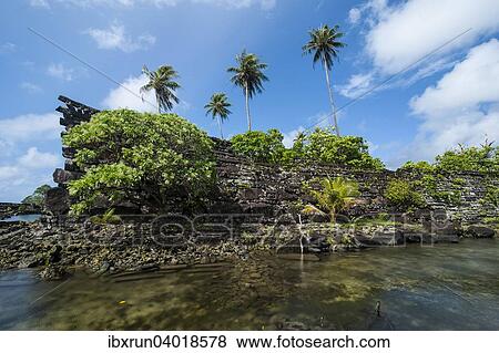 Stock Photo - Ruinen der antiken Stadt Nan Madol, Pohnpei, Mikronesien, Central Pacific, Ozeanien. Fotosearch