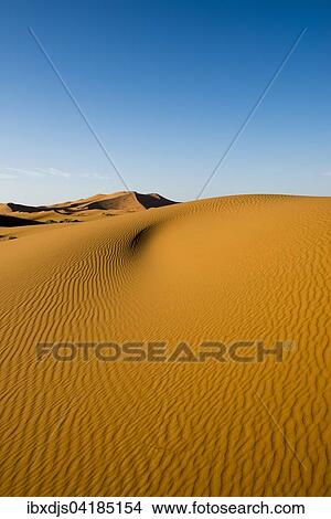 Sanddunen im Morgenlicht, bei Merzouga, Region Meknes-Tafilalet, Marokko, Afrika View Large Photo Image Picture - Sanddunen im Morgenlicht, bei Merzouga, Region Meknes-Tafilalet, Marokko, Afrika. Fotosearch