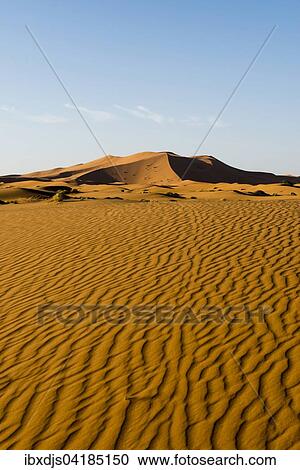 Sanddunen im Morgenlicht, bei Merzouga, Region Meknes-Tafilalet, Marokko, Afrika View Large Photo Image Stock Image - Sanddunen im Morgenlicht, bei Merzouga, Region Meknes-Tafilalet, Marokko, Afrika. Fotosearch