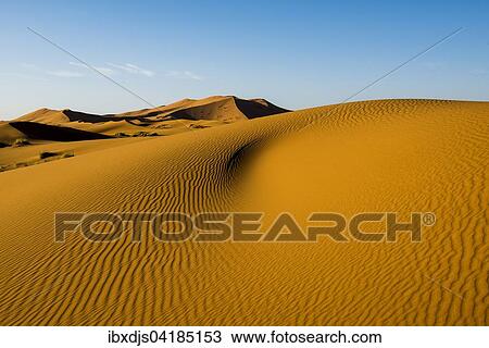 Sanddunen im Morgenlicht, bei Merzouga, Region Meknes-Tafilalet, Marokko, Afrika View Large Photo Image Stock Image - Sanddunen im Morgenlicht, bei Merzouga, Region Meknes-Tafilalet, Marokko, Afrika. Fotosearch