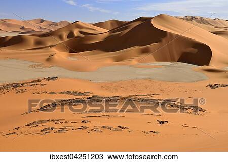 Sanddunen und Ton-Pfanne, sudliches Oued In Tehak, Region Tadrart, Tassili n'Ajjer Nationalpark, UNESCO Weltnaturerbe, Sahara, Algerien, Afrika View Large Photo Image Stock Image - Sanddunen und Ton-Pfanne, sudliches Oued In Tehak, Region Tadrart, Tassili n'Ajjer Nationalpark, UNESCO Weltnaturerbe, Sahara, Algerien, Afrika. Fotosearch