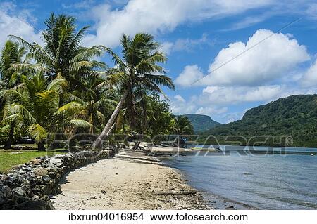 Sandstrand mit Palmen, Pohnpei, Mikronesien, Ozeanien View Large Photo Image Picture - Sandstrand mit Palmen, Pohnpei, Mikronesien, Ozeanien. Fotosearch
