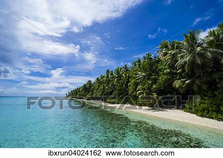 Sandstrand und turkises Wasser, Atoll Ant, Pohnpei, Mikronesien, Ozeanien View Large Photo Image Stock Image - Sandstrand und turkises Wasser, Atoll Ant, Pohnpei, Mikronesien, Ozeanien. Fotosearch