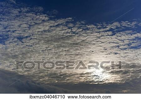 Schafchenwolken, Wolkendecke, Cirrocumulus, vor der Sonne View Large Photo Image Stock Image - Schafchenwolken, Wolkendecke, Cirrocumulus, vor der Sonne. Fotosearch