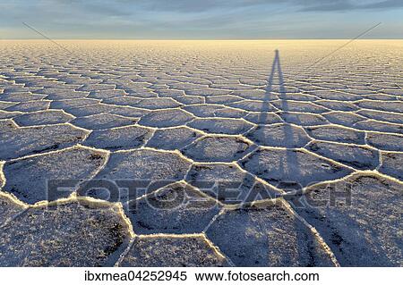 Schatten des Fotografen im Morgenlicht in der Wabenstruktur des Salzsee, Salar de Uyuni, Altiplano, Lipez, Bolivien, Sudamerika View Large Photo Image Stock Photography - Schatten des Fotografen im Morgenlicht in der Wabenstruktur des Salzsee, Salar de Uyuni, Altiplano, Lipez, Bolivien, Sudamerika. Fotosearch