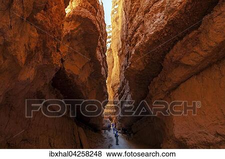 Schlucht mit farbigen Gesteinsformationen, am Navajo Loop Trail, Bryce-Canyon-Nationalpark, Utah, USA, Nordamerika View Large Photo Image Stock Photo - Schlucht mit farbigen Gesteinsformationen, am Navajo Loop Trail, Bryce-Canyon-Nationalpark, Utah, USA, Nordamerika. Fotosearch