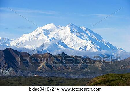 Schneebedeckter Mount McKinley am Morgen, Denali-Nationalpark, Healy, Alaska View Large Photo Image Picture - Schneebedeckter Mount McKinley am Morgen, Denali-Nationalpark, Healy, Alaska. Fotosearch