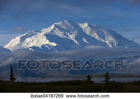 Stock Photo - Schneebedeckter Mount McKinley, Denali-Nationalpark, Healy, Alaska. Fotosearch