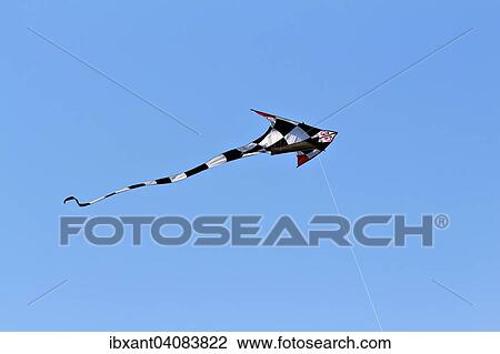 Schwarzweiss karierter Drachen mit roten Flugelspitzen fliegt am blauen Himmel, Frankreich, Europa View Large Photo Image Stock Image - Schwarzweiss karierter Drachen mit roten Flugelspitzen fliegt am blauen Himmel, Frankreich, Europa. Fotosearch