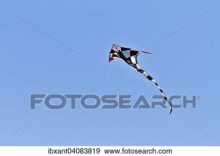 Schwarzweiss karierter Drachen mit roten Flugelspitzen fliegt am blauen Himmel, Frankreich, Europa View Large Photo Image Stock Photo - Schwarzweiss karierter Drachen mit roten Flugelspitzen fliegt am blauen Himmel, Frankreich, Europa. Fotosearch