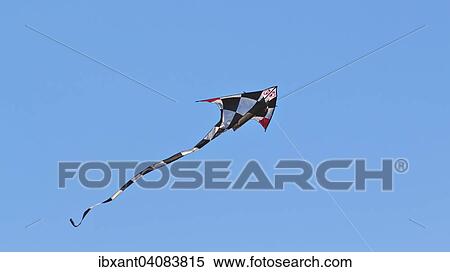 Schwarzweiss karierter Drachen mit roten Flugelspitzen fliegt am blauen Himmel, Frankreich, Europa View Large Photo Image Stock Photography - Schwarzweiss karierter Drachen mit roten Flugelspitzen fliegt am blauen Himmel, Frankreich, Europa. Fotosearch