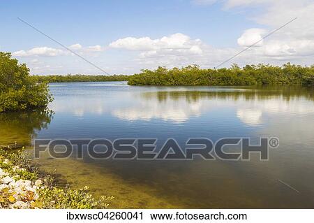 See im Ding Darling National Wildlife Refuge, Sanibel Island, Florida, USA, Nordamerika View Large Photo Image Stock Image - See im Ding Darling National Wildlife Refuge, Sanibel Island, Florida, USA, Nordamerika. Fotosearch