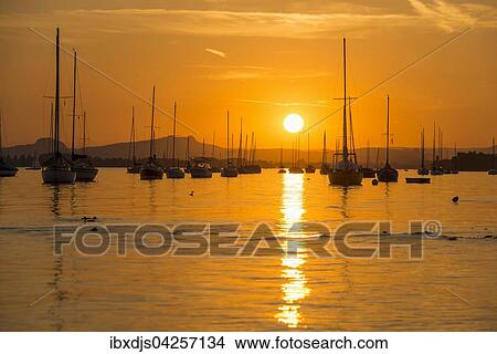 Segelboote auf dem Untersee, Sonnenuntergang, Allensbach, Bodensee, Baden-Wurttemberg, Deutschland, Europa View Large Photo Image Picture - Segelboote auf dem Untersee, Sonnenuntergang, Allensbach, Bodensee, Baden-Wurttemberg, Deutschland, Europa. Fotosearch