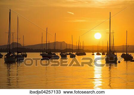 Segelboote auf dem Untersee, Sonnenuntergang, Allensbach, Bodensee, Baden-Wurttemberg, Deutschland, Europa View Large Photo Image Stock Image - Segelboote auf dem Untersee, Sonnenuntergang, Allensbach, Bodensee, Baden-Wurttemberg, Deutschland, Europa. Fotosearch