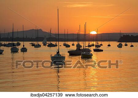 Segelboote auf dem Untersee, Sonnenuntergang, Allensbach, Bodensee, Baden-Wurttemberg, Deutschland, Europa View Large Photo Image Stock Photo - Segelboote auf dem Untersee, Sonnenuntergang, Allensbach, Bodensee, Baden-Wurttemberg, Deutschland, Europa. Fotosearch