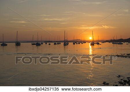 Segelboote auf dem Untersee, Sonnenuntergang, Allensbach, Bodensee, Baden-Wurttemberg, Deutschland, Europa View Large Photo Image Stock Photography - Segelboote auf dem Untersee, Sonnenuntergang, Allensbach, Bodensee, Baden-Wurttemberg, Deutschland, Europa. Fotosearch